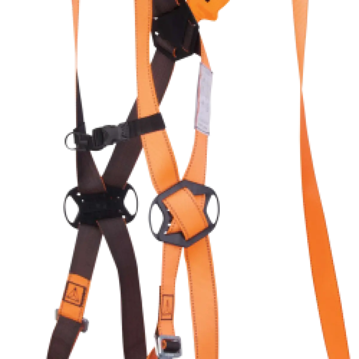 927e03c8-55b0-4d92-9604-e2d4e4d63677